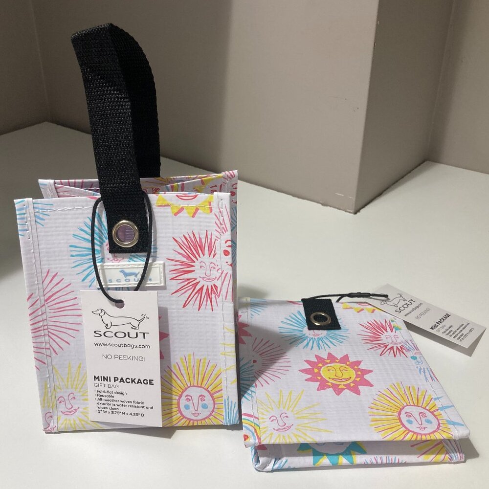 Set of 2 Scout Mini Package Gift bags